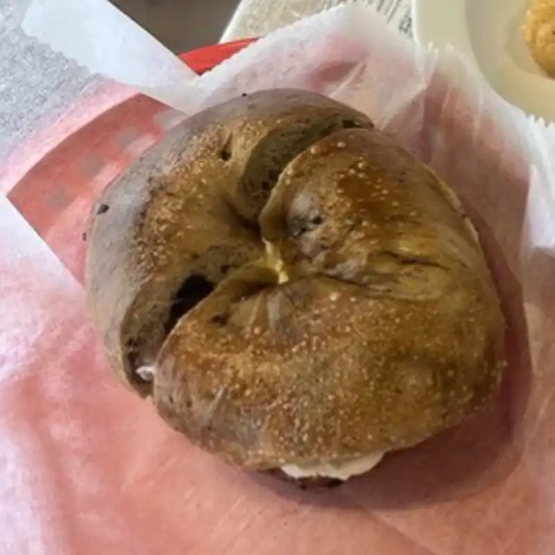Bagel with Plain Cream Cheese