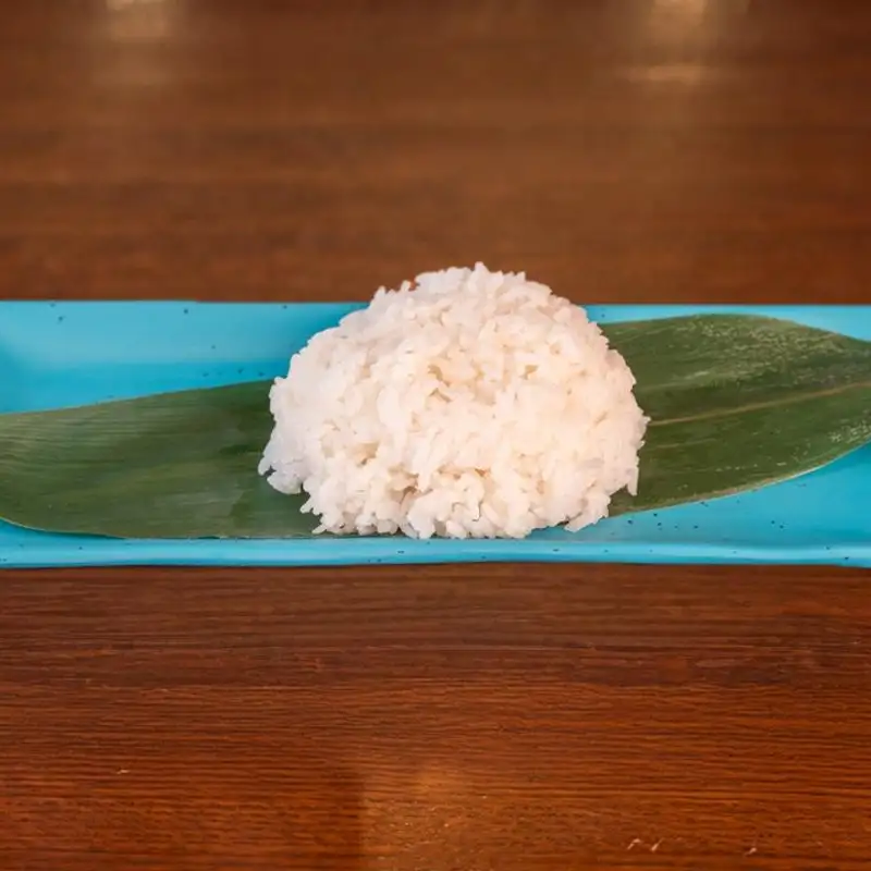 Sushi Rice