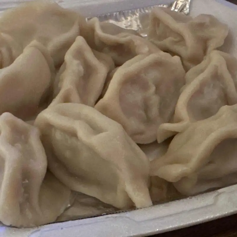 Pork Dumplings (10)