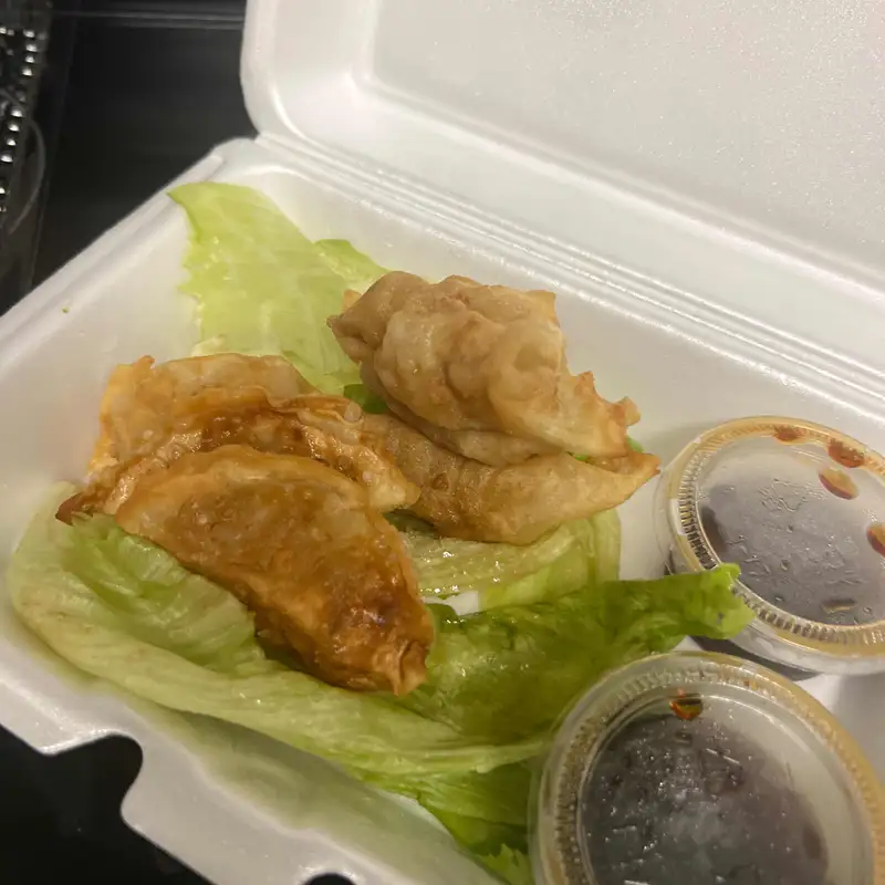 Gyoza