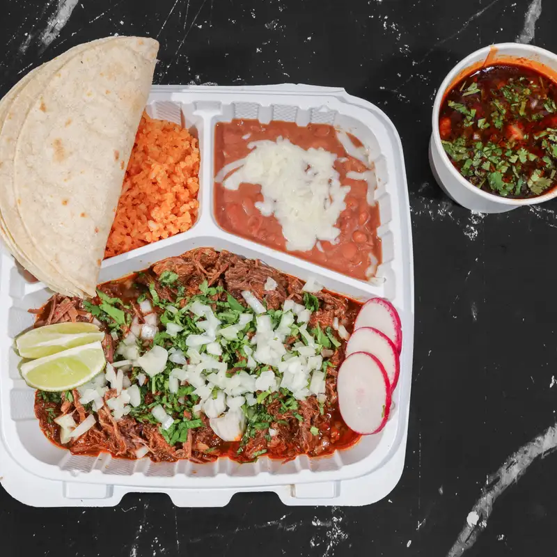 Birria Plate