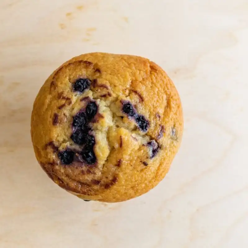 Blueberry Muffin