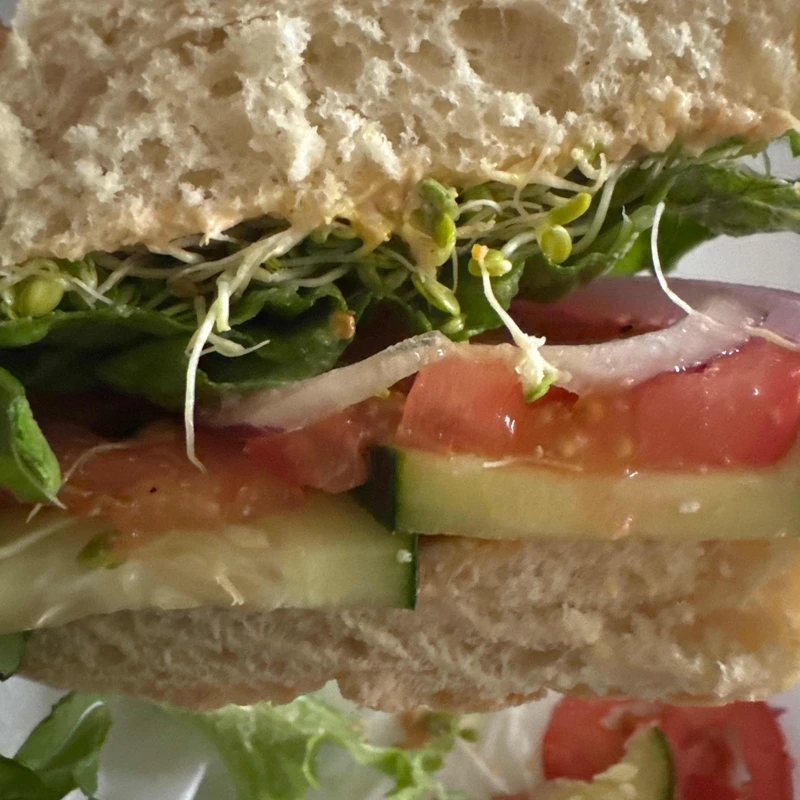 Veggie Sandwich with Side