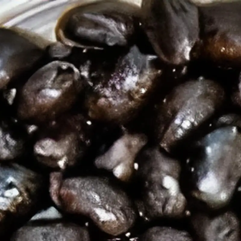 Black Beans