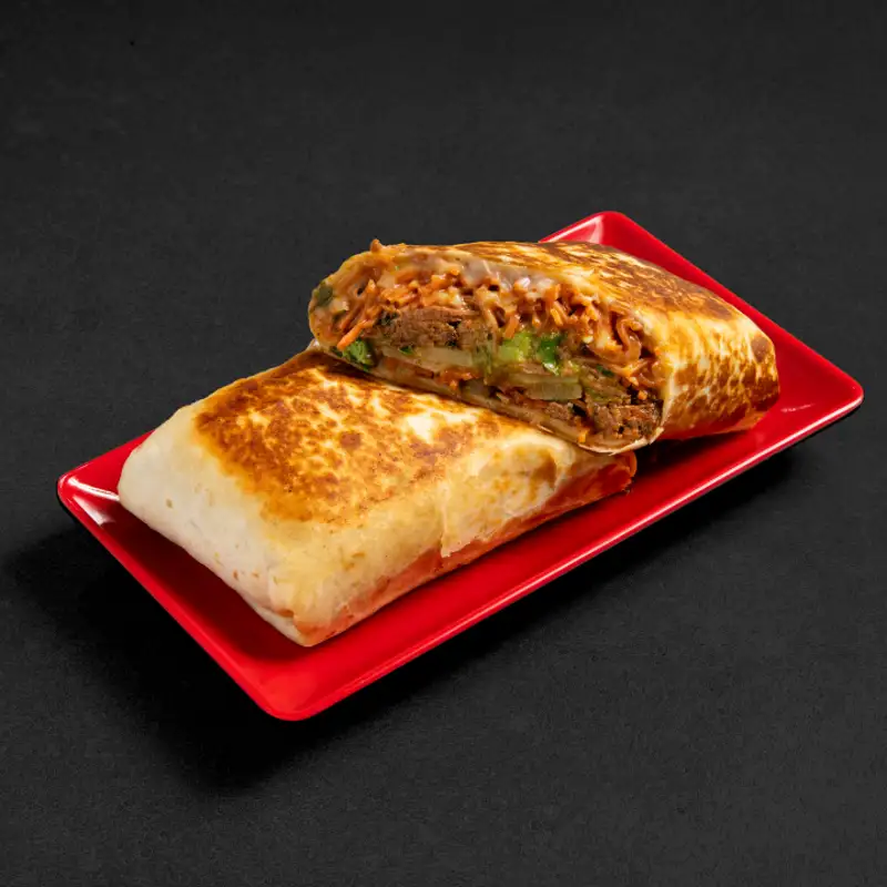 BIRRIA BURRITO