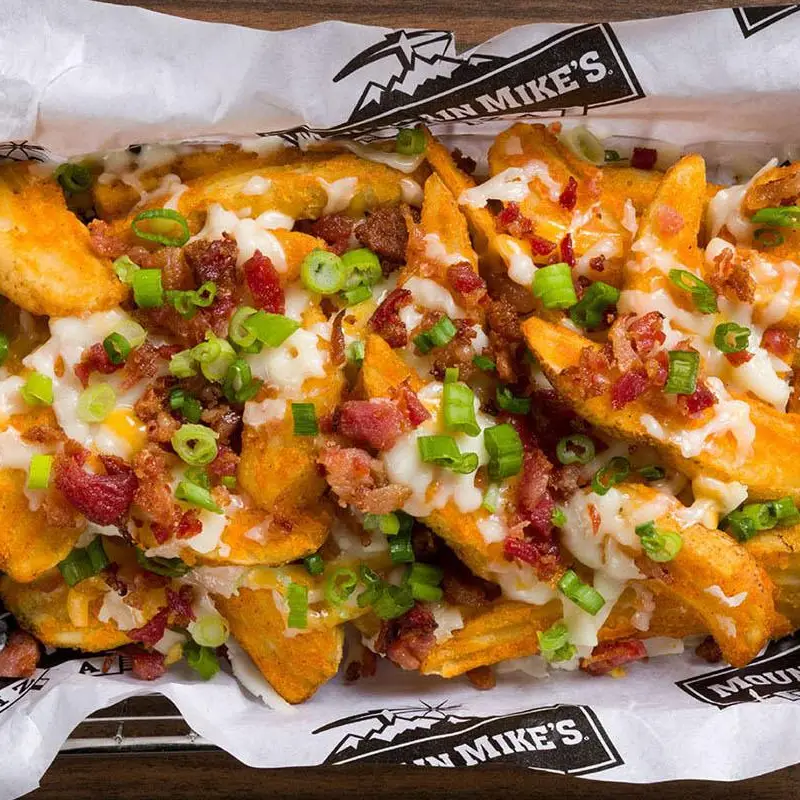 Loaded Mountain Fries