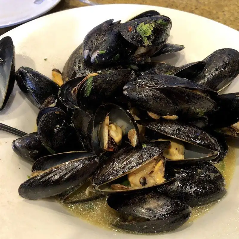 Mussels