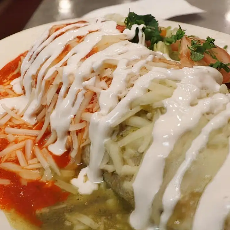 Vegan Wet Protein Burrito