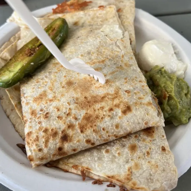Jr. Quesadilla