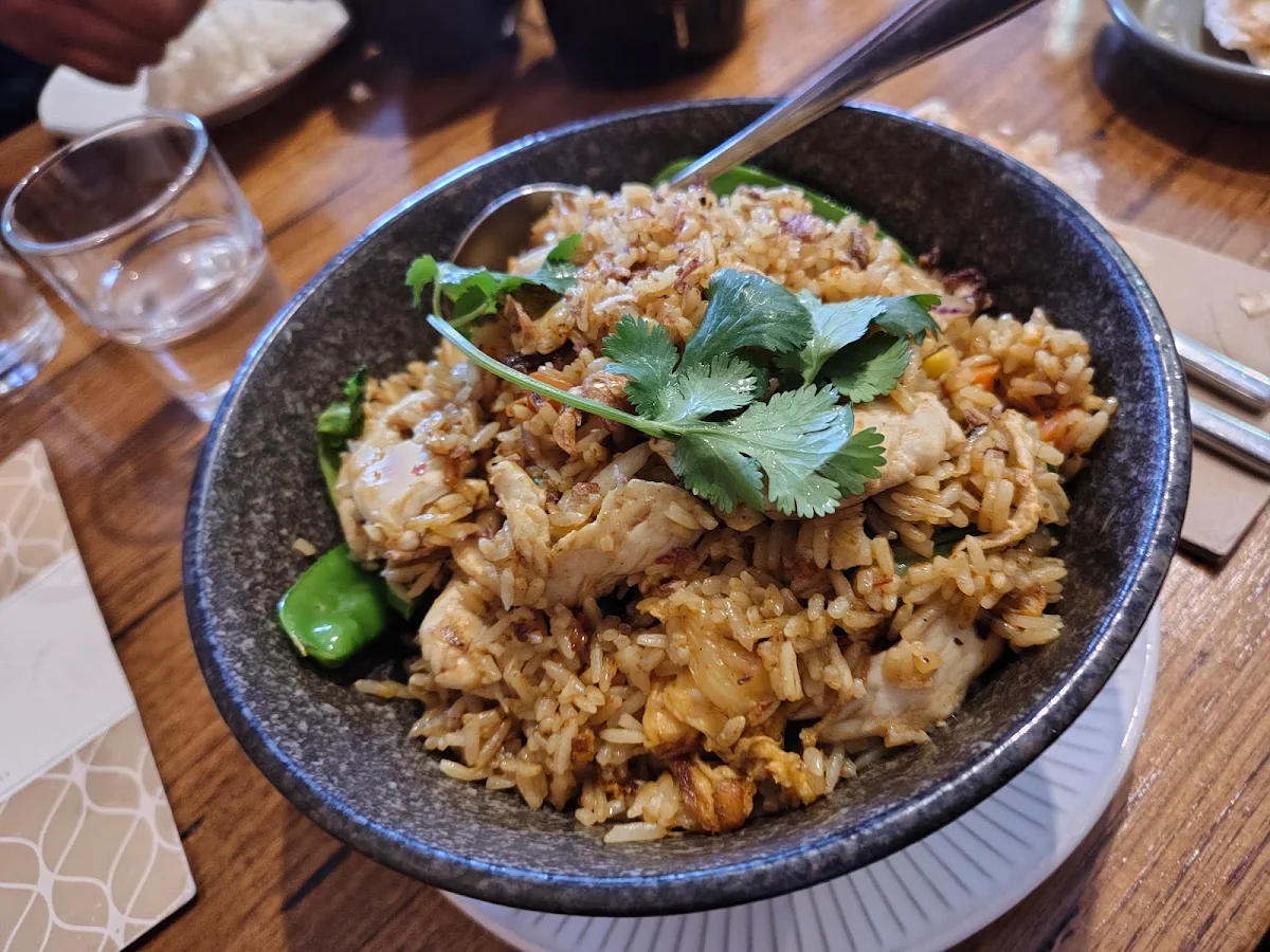 Food & drink, Rice Scoop
