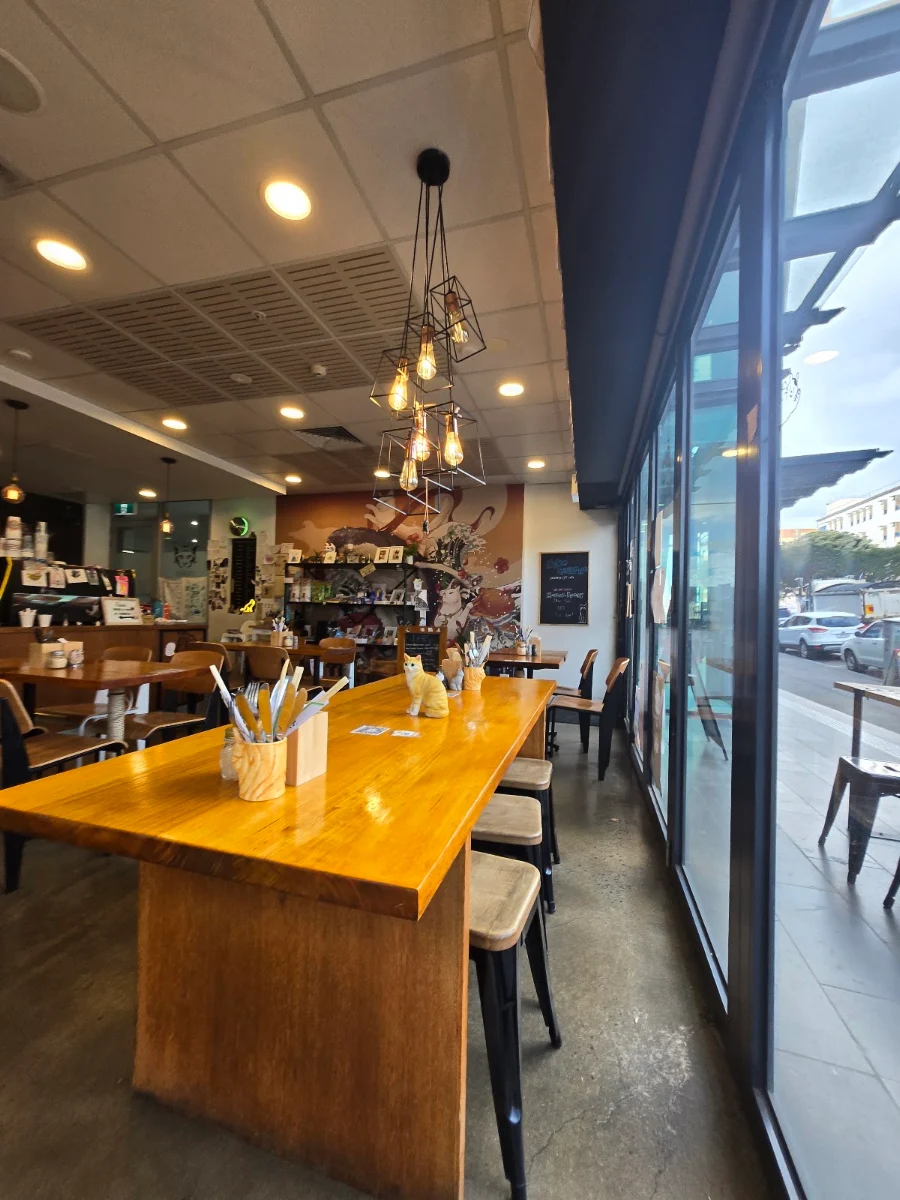 Cat-themed Japanese cafe | neko Geelong cover