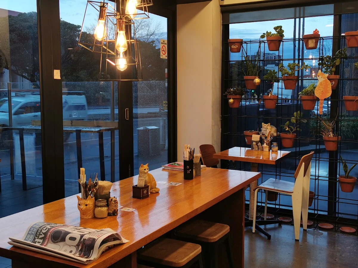 Vibe, Cat-themed Japanese cafe | neko Geelong