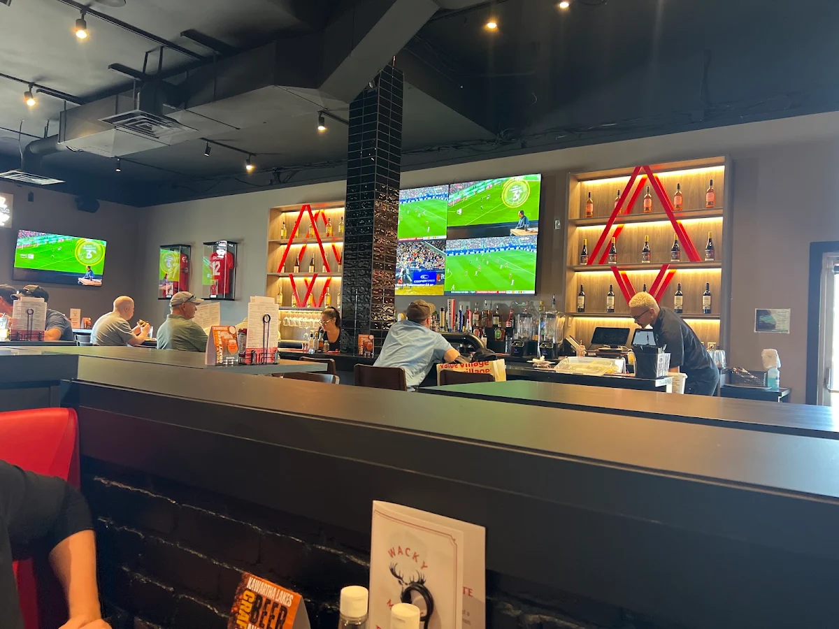 Vibe, Wacky Moose Bar & Grill - Owen Sound