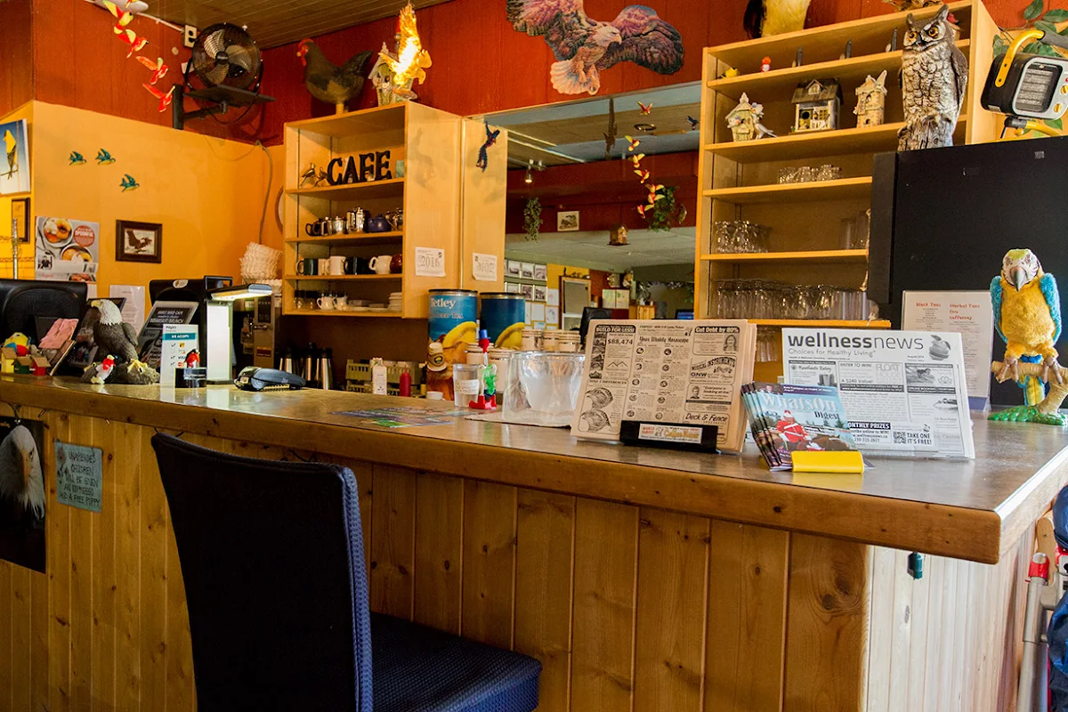 Vibe, Early Bird Cafe