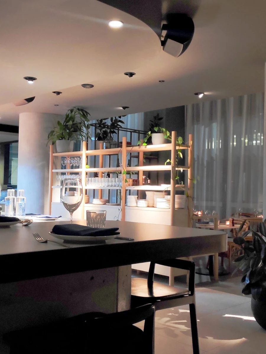 Vibe, Braddon Merchant