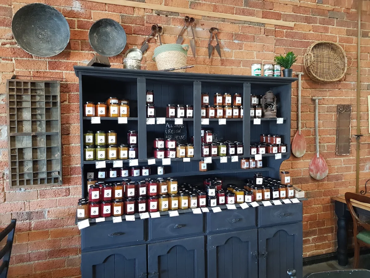 Vibe, Cafe 56