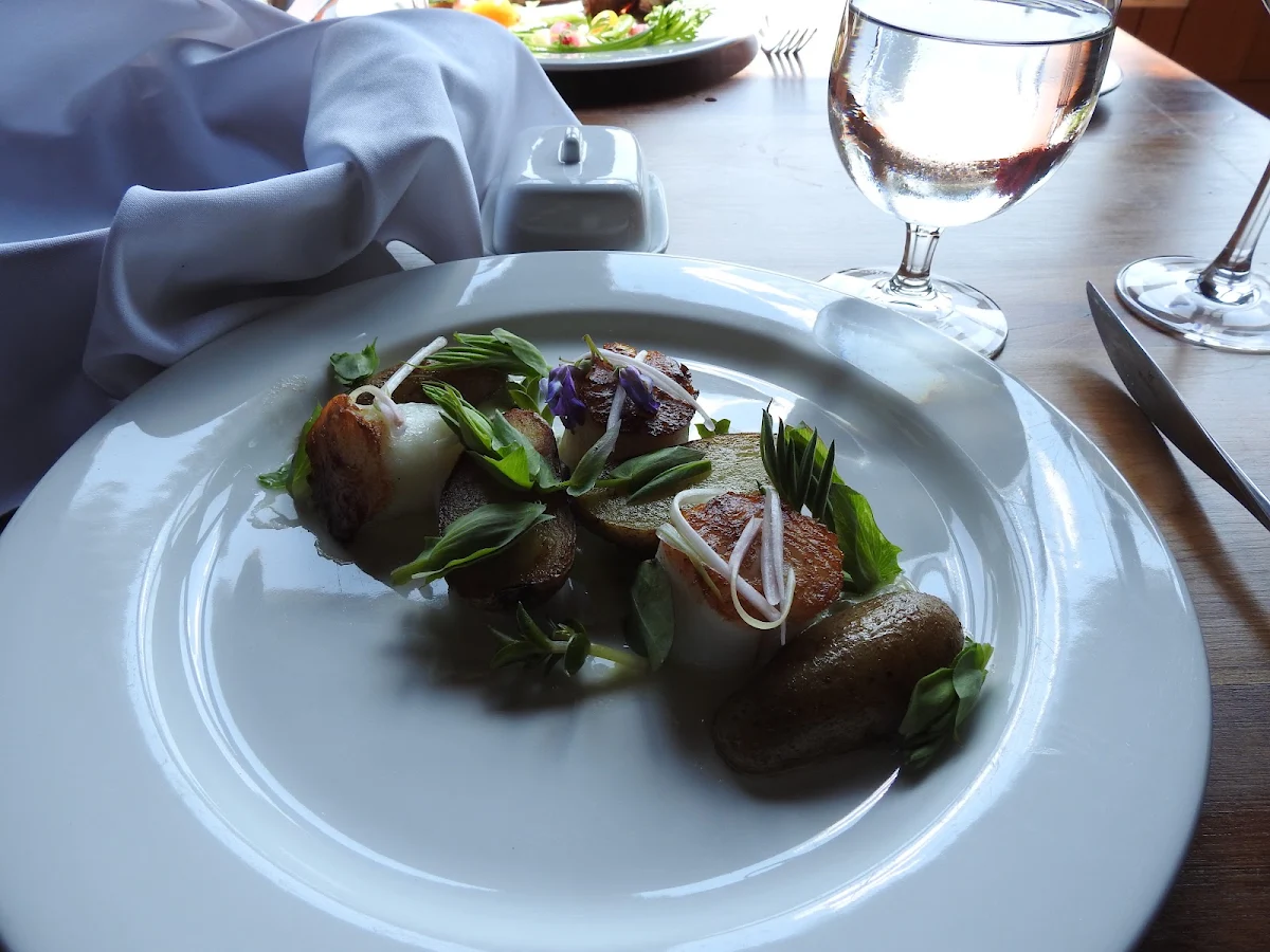 Food & drink, Restaurant Villa Estevan Lodge