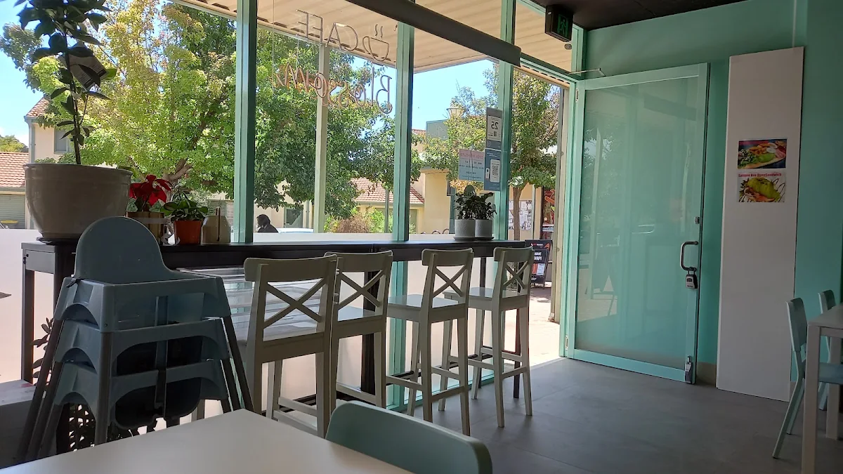 Vibe, blossom cafe