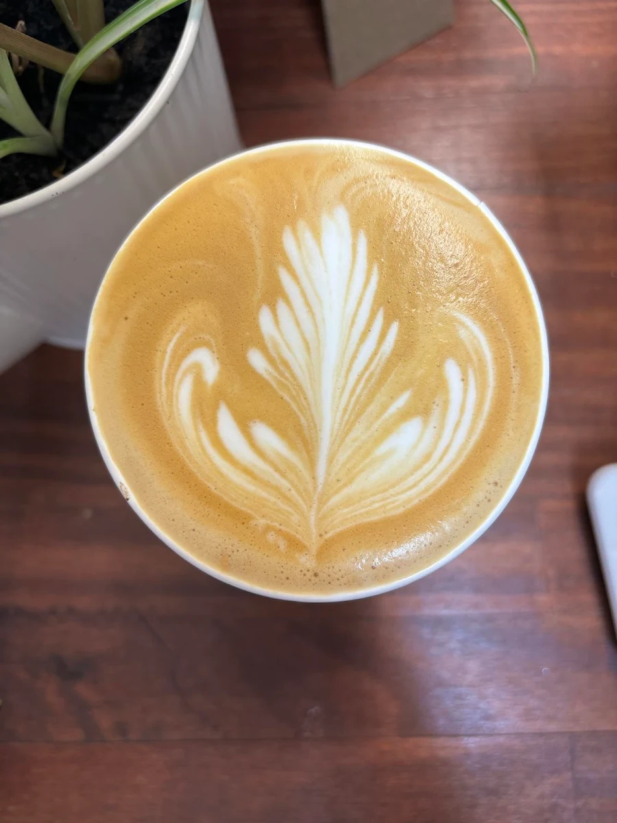 Food & drink, Cafe Dharma