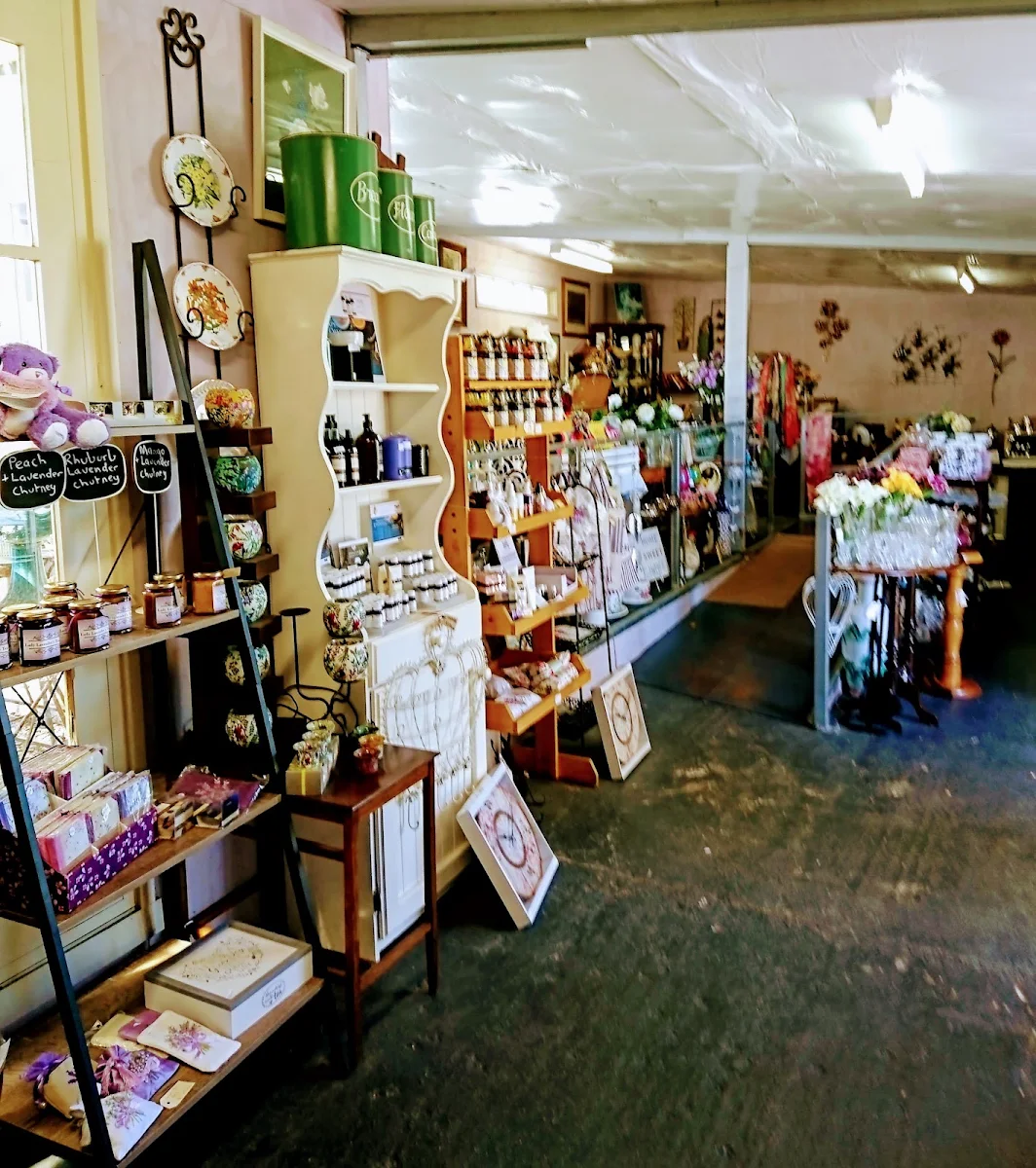 Vibe, Lady Lavender's Tea Room