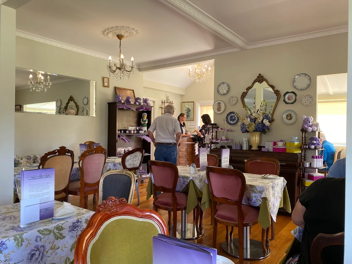 Vibe, Lady Lavender's Tea Room