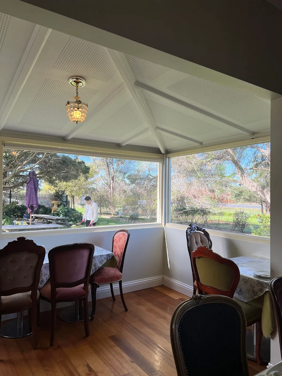 Vibe, Lady Lavender's Tea Room