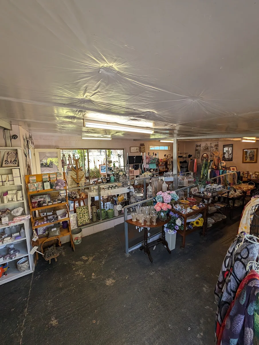 Vibe, Lady Lavender's Tea Room