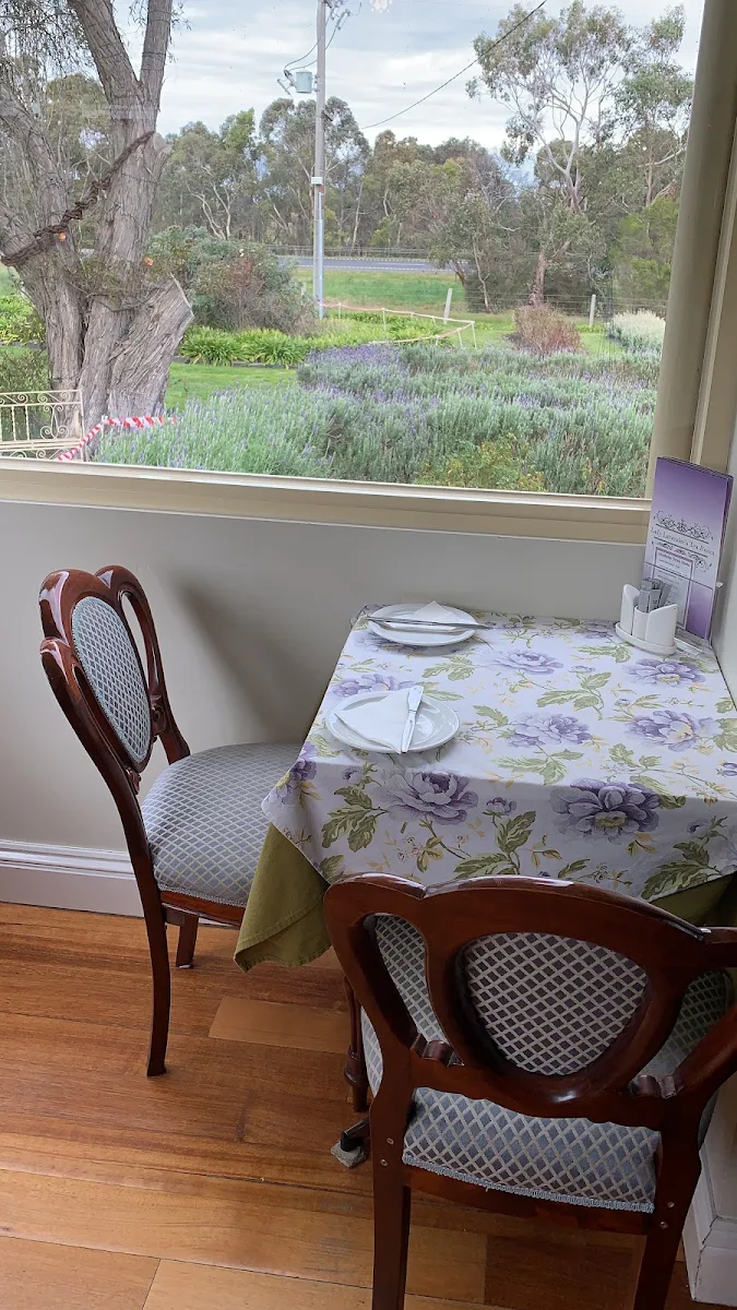 Vibe, Lady Lavender's Tea Room