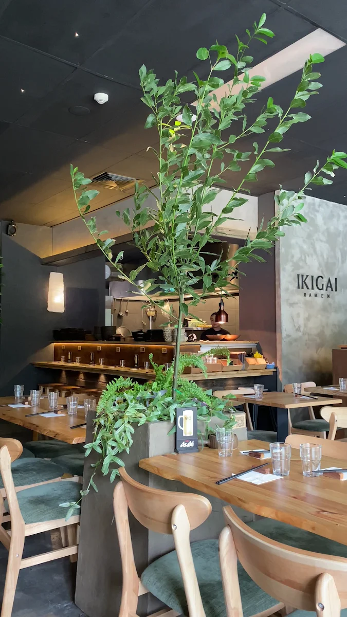 Vibe, Ikigai Ramen