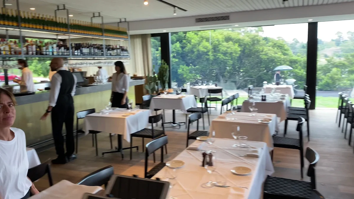 Vibe, Oliveto Ristorante & Bar