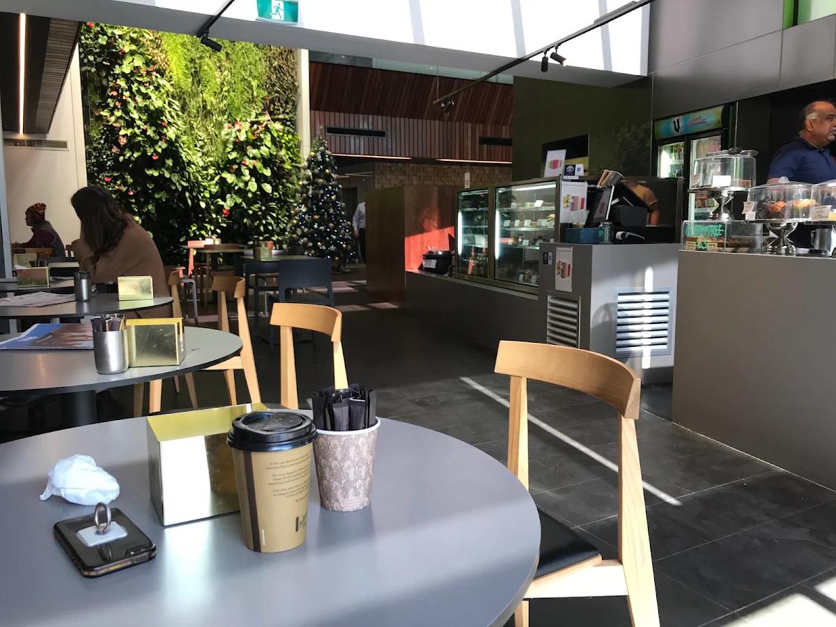 Vibe, The Bean Hub