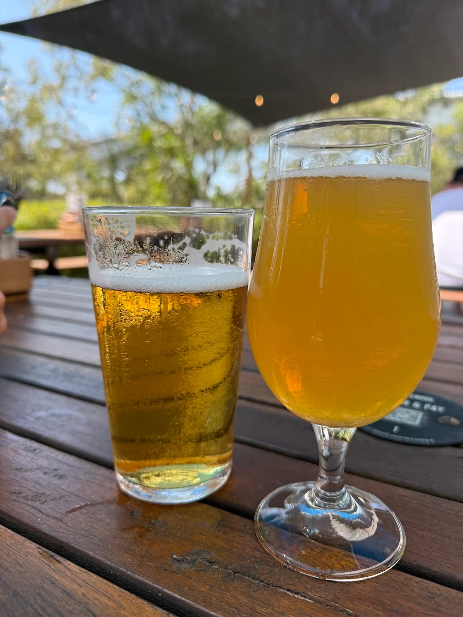 Food & drink, BrewDog DogTap Brisbane
