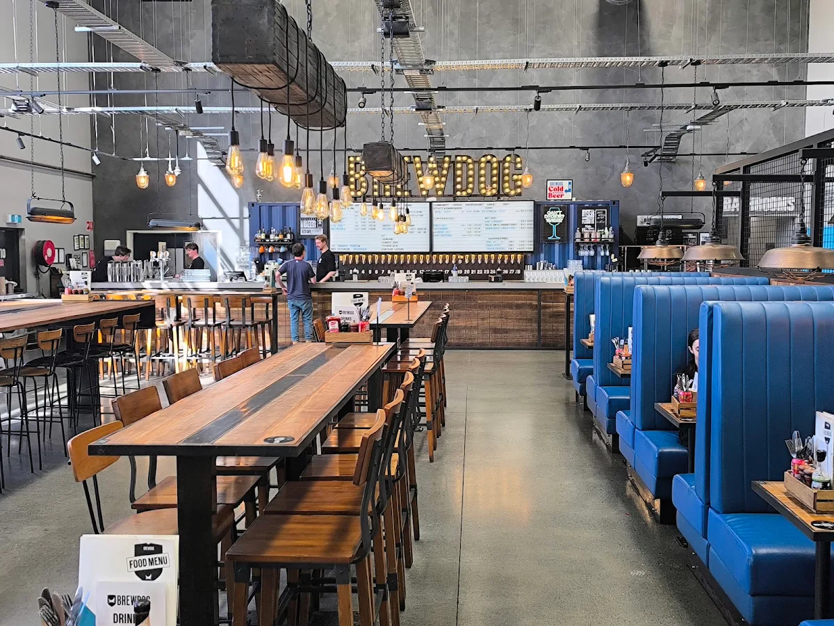 Vibe, BrewDog DogTap Brisbane