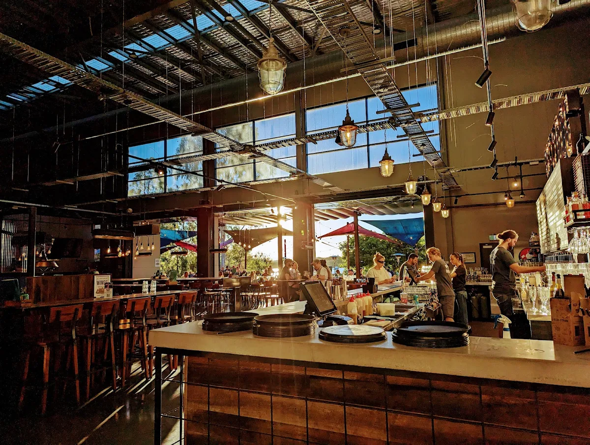 Vibe, BrewDog DogTap Brisbane