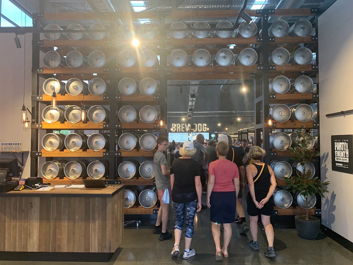 Vibe, BrewDog DogTap Brisbane
