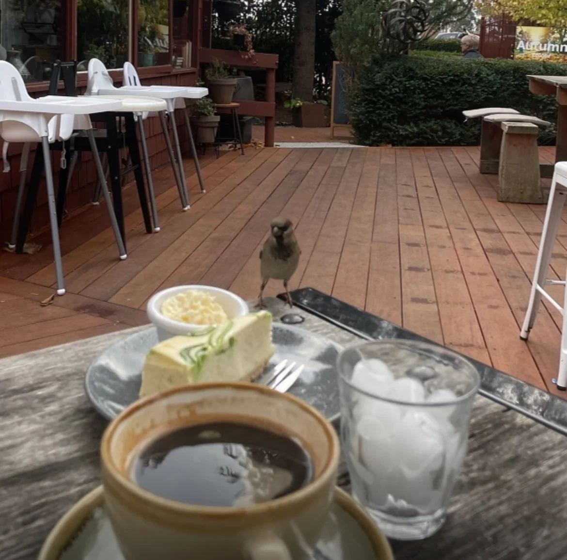 Food & drink, Secret Serenity Café
