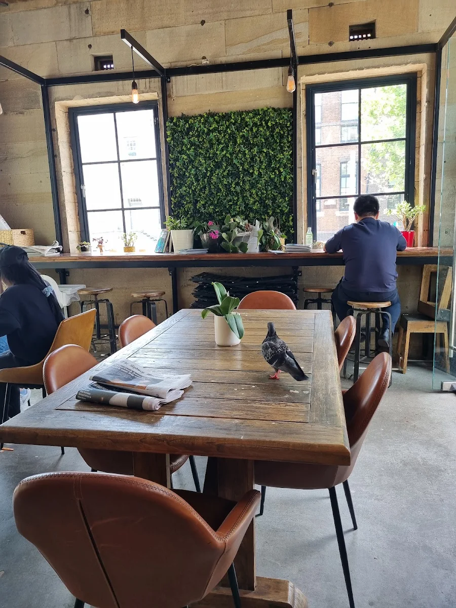 Vibe, Brix & Beans Coffee House