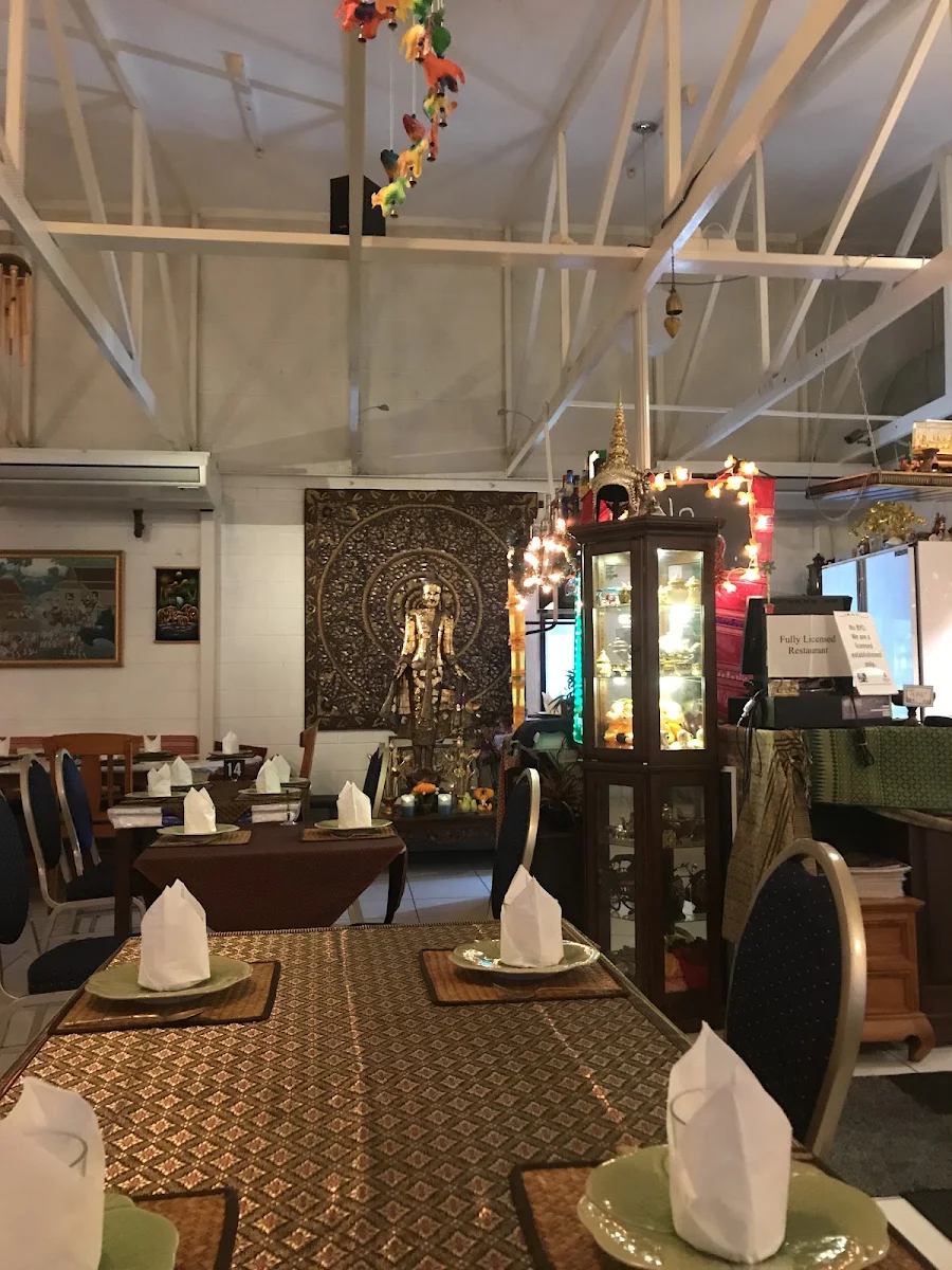 Vibe, Thai Tanee Yeppoon