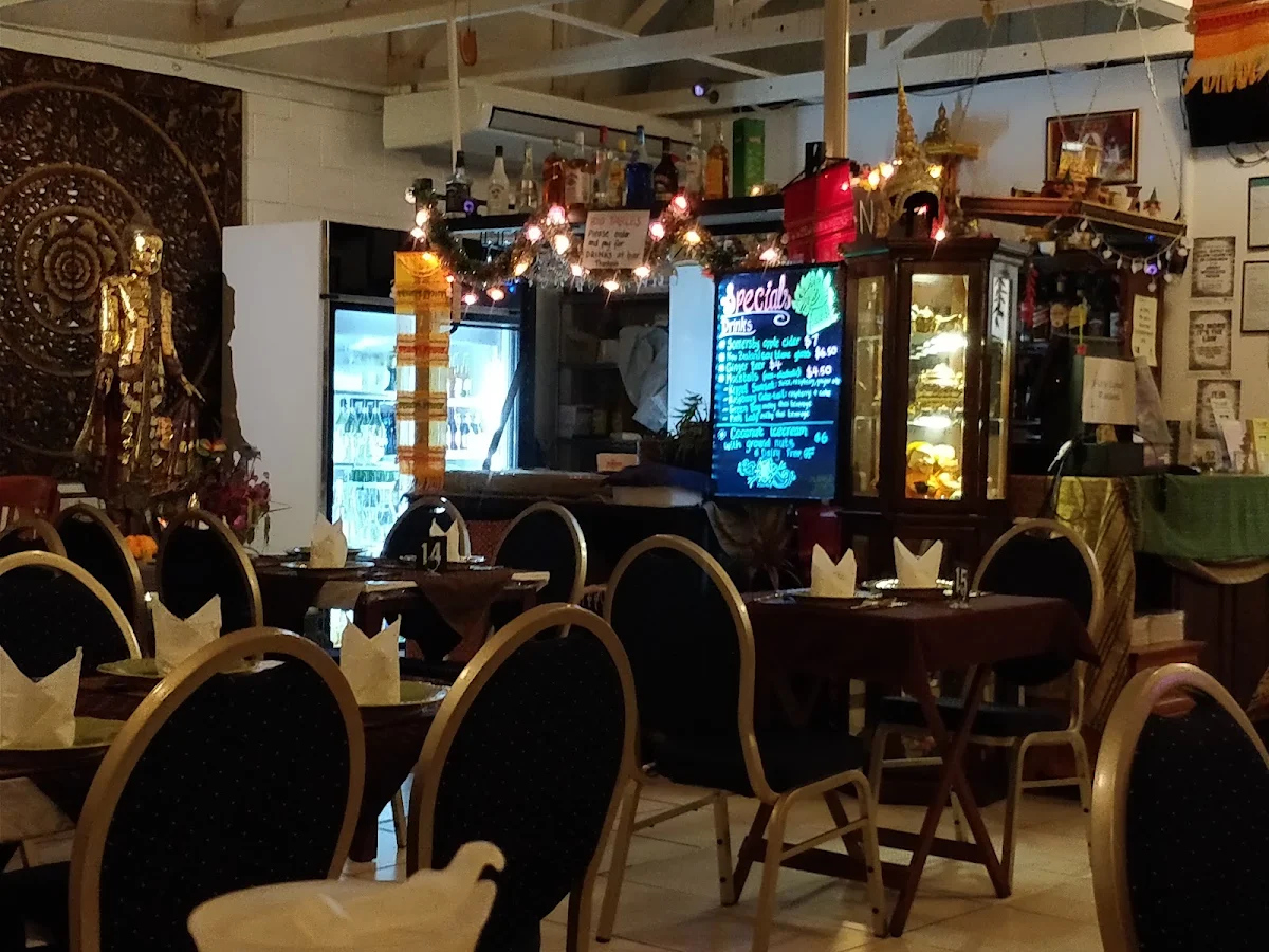 Vibe, Thai Tanee Yeppoon
