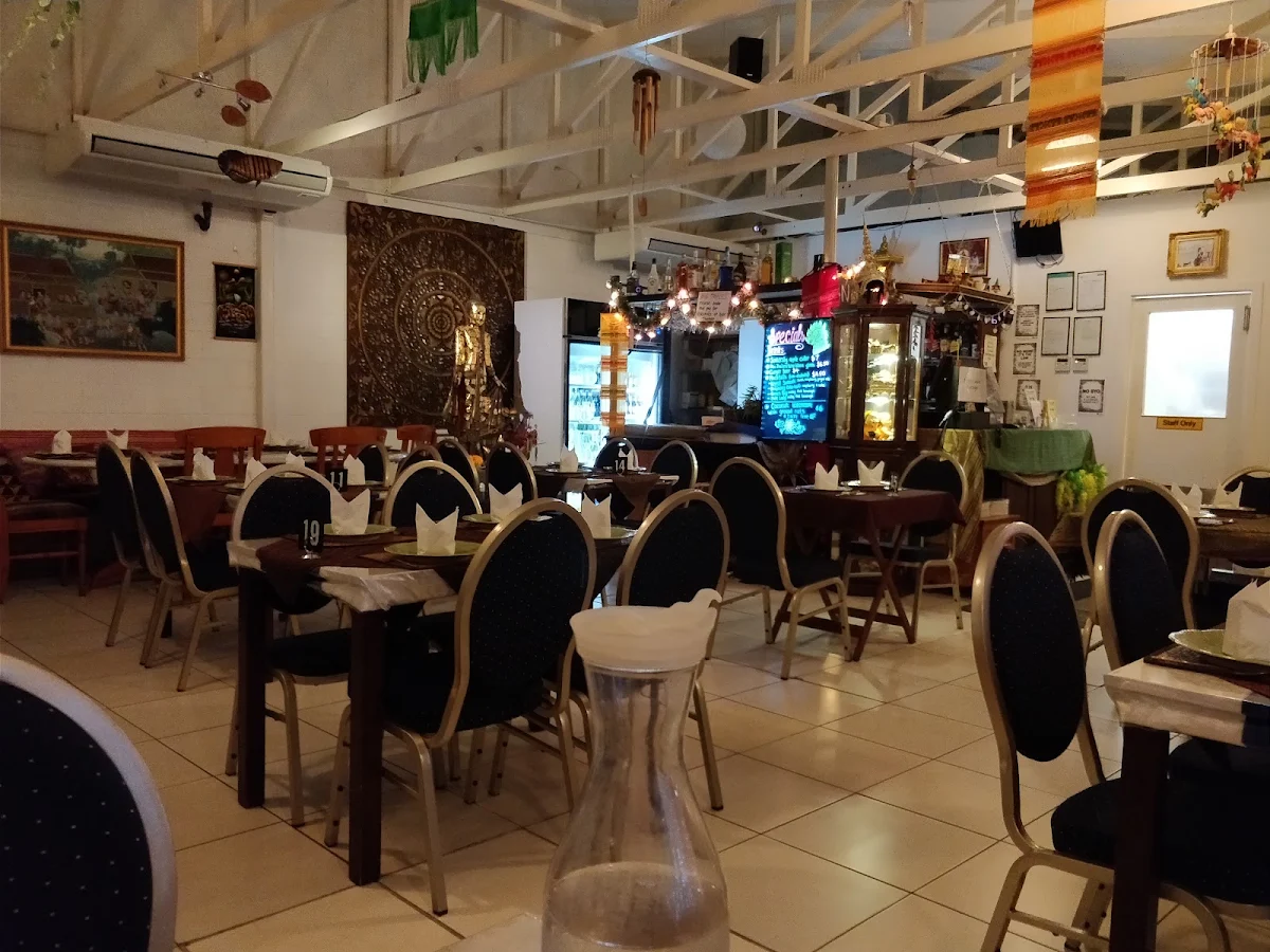 Vibe, Thai Tanee Yeppoon