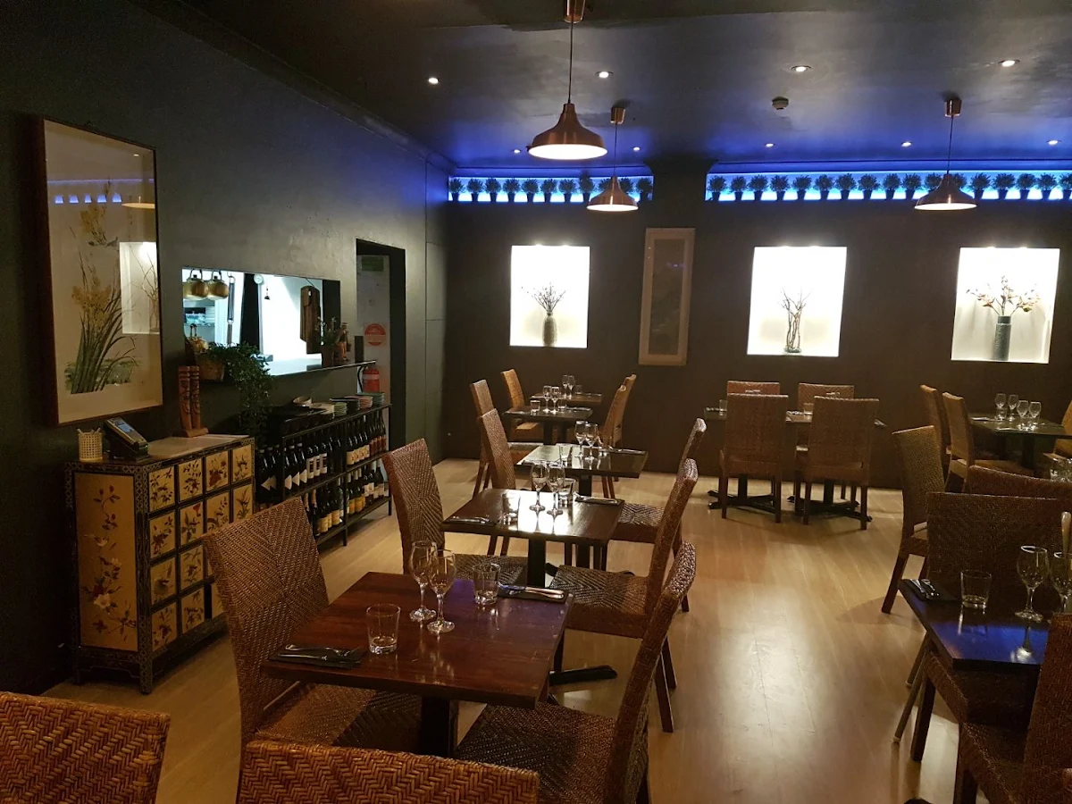 Vibe, Seven Lanterns Sylvania