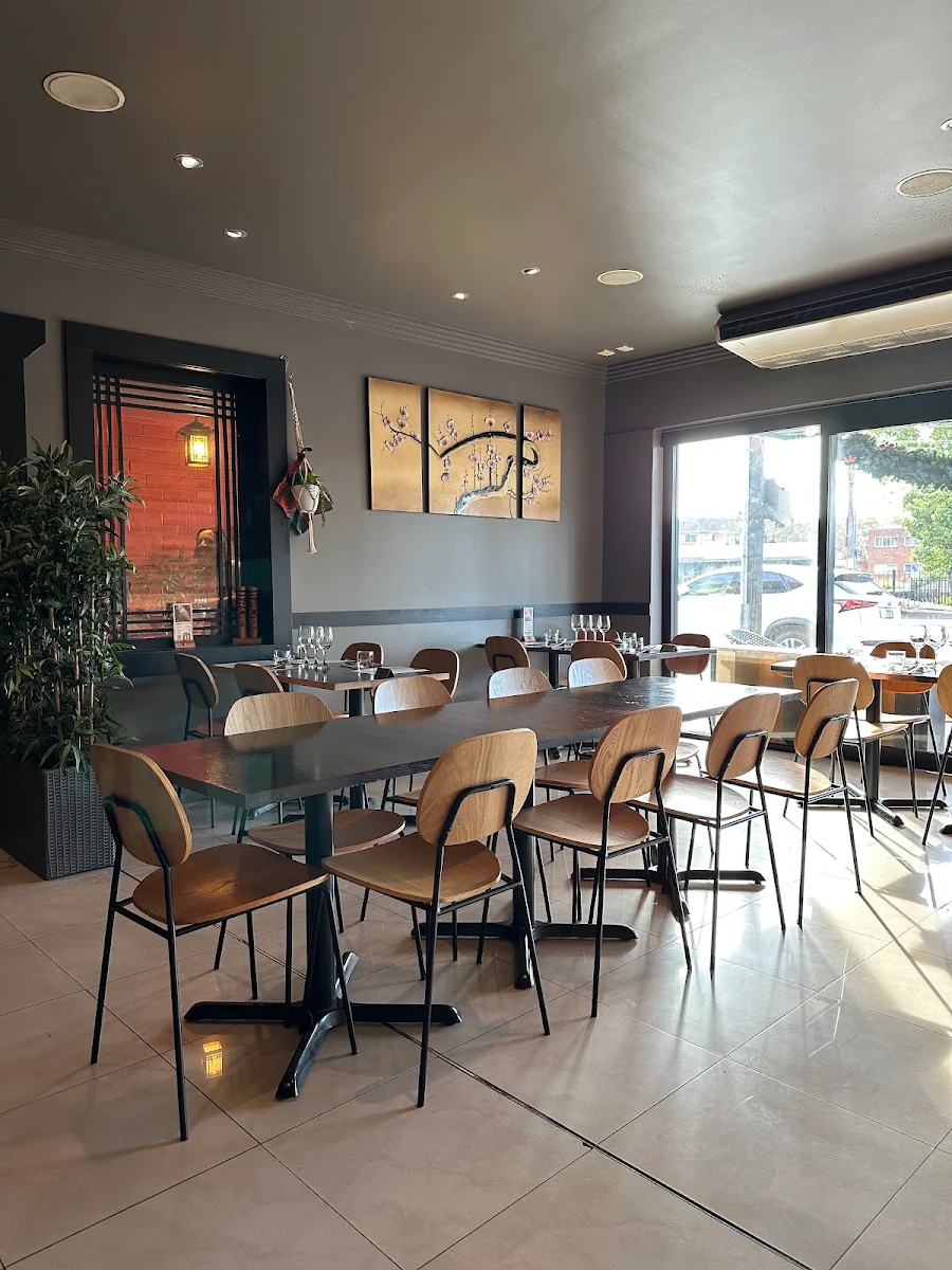 Vibe, Seven Lanterns Sylvania