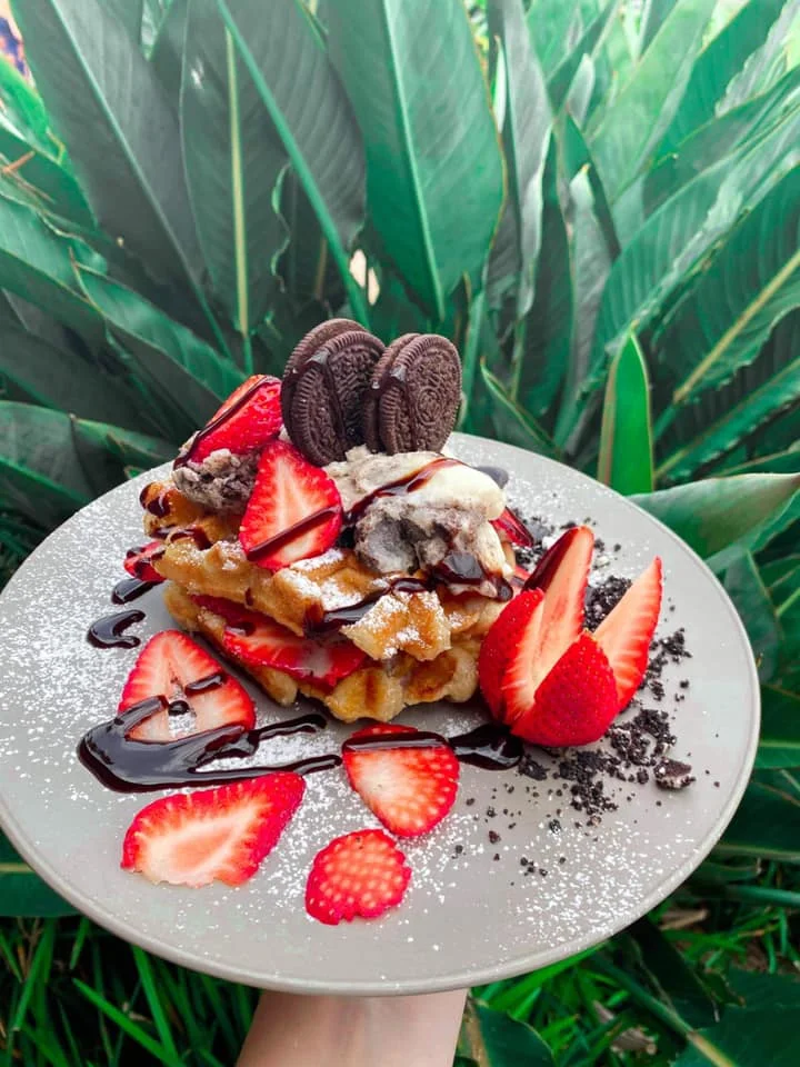 Food & drink, Seasalt Cafe & Restaurant