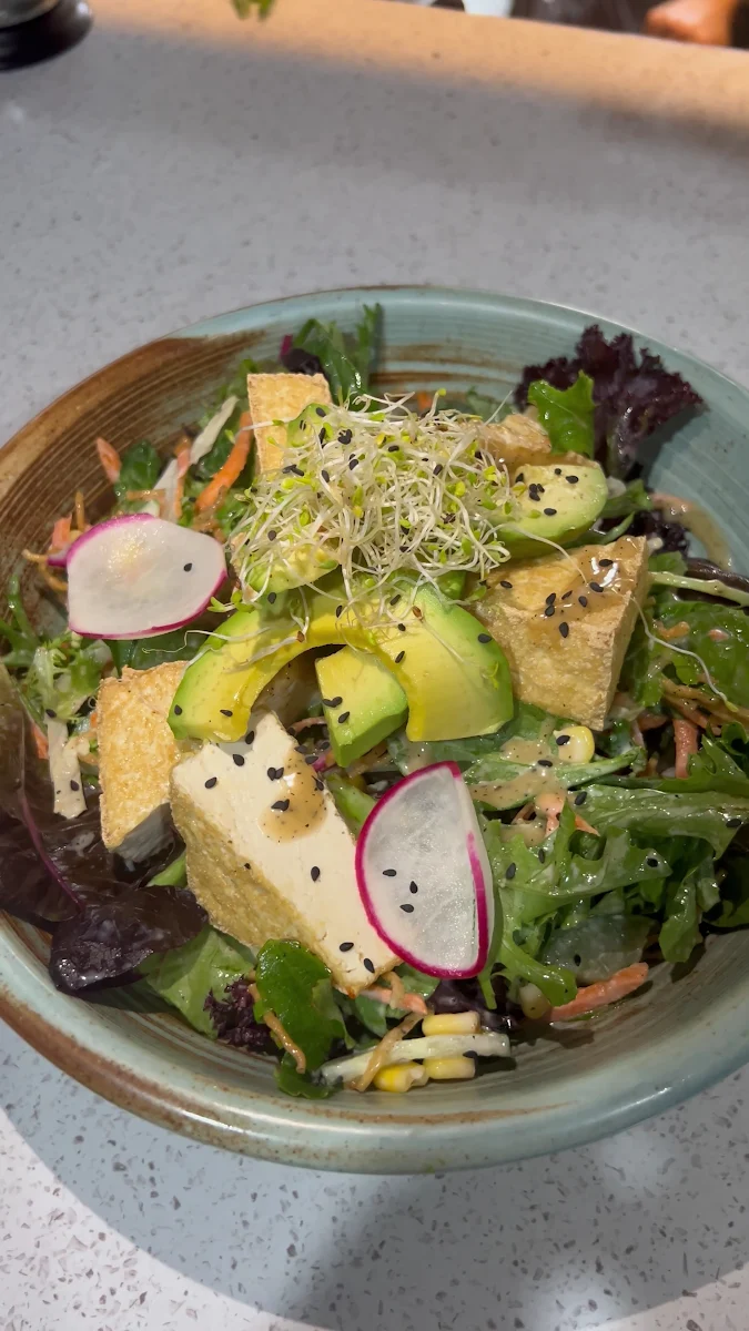 Food & drink, Cafe Plenty