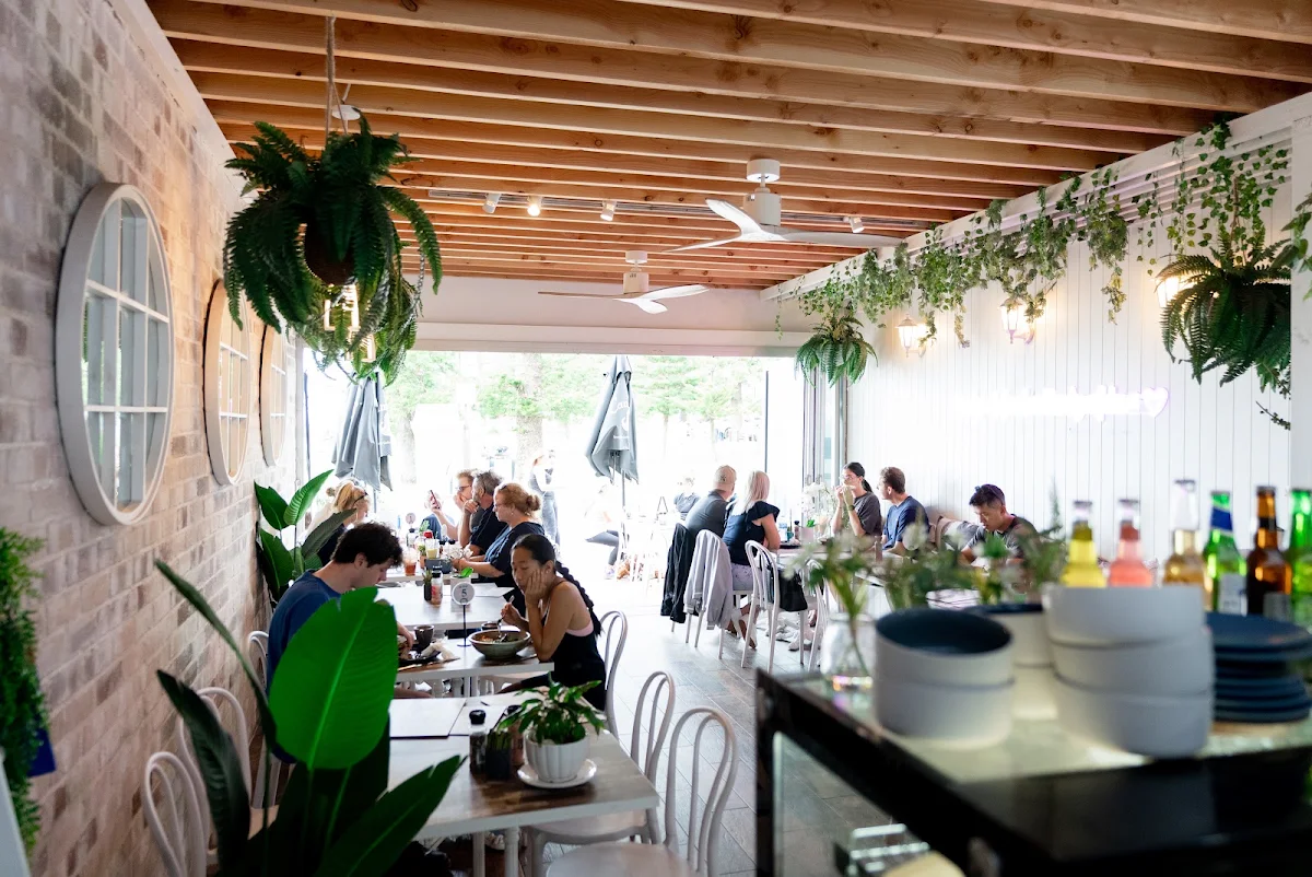 Vibe, Cafe Plenty