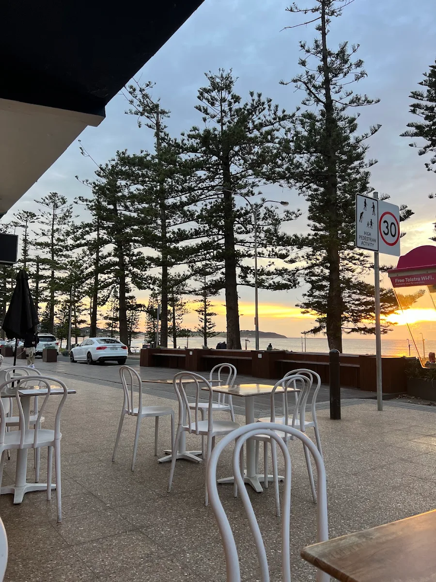 Vibe, Cafe Plenty