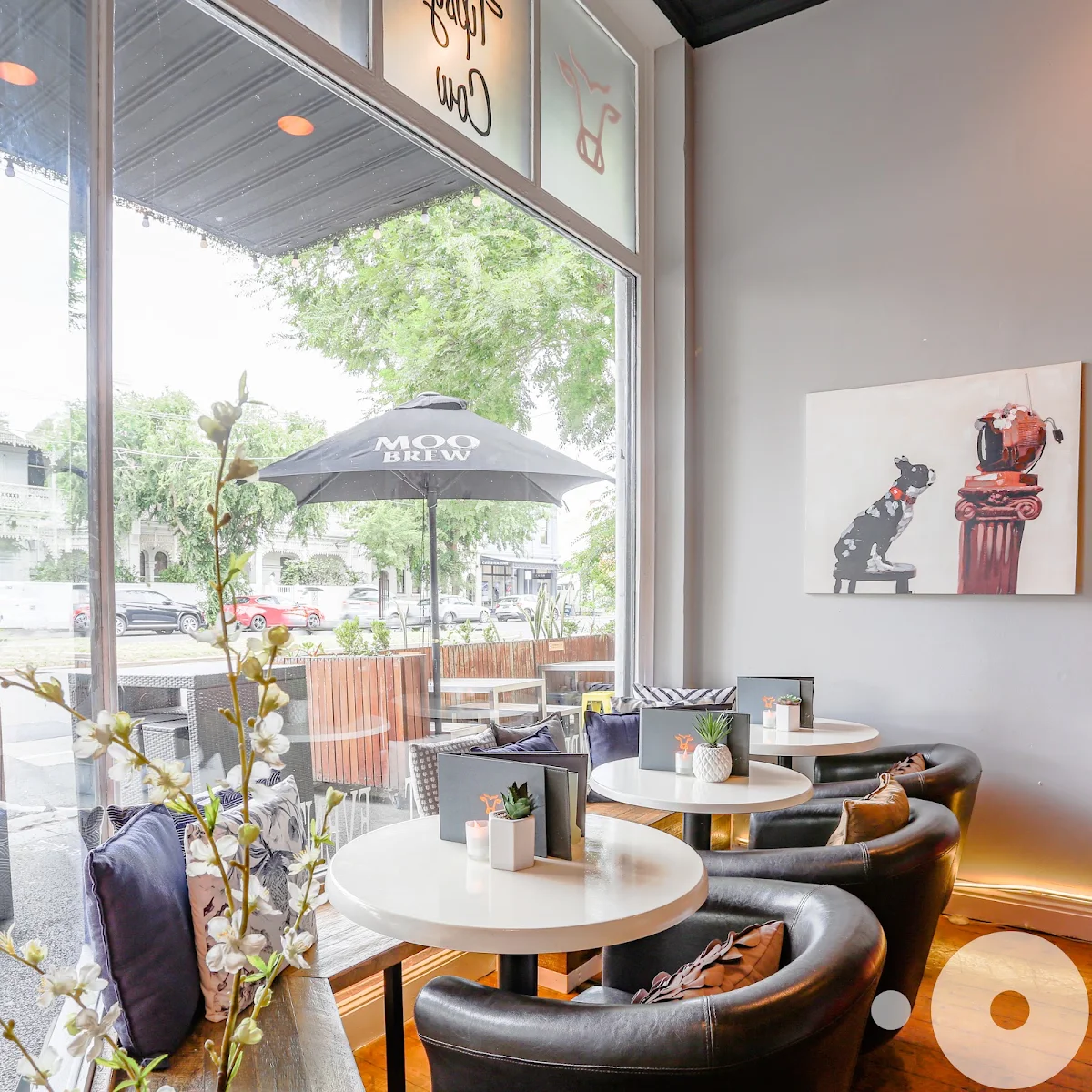 Vibe, The Tipsy Cow - Cocktail Tapas Bar & Beer Garden