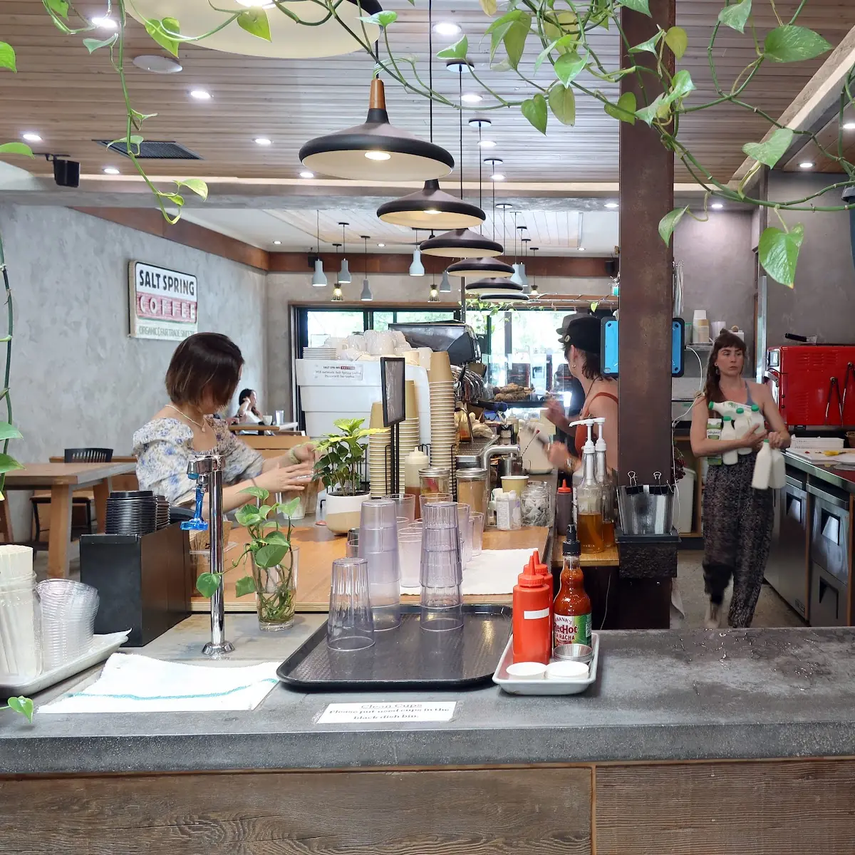 Vibe, Salt Spring Coffee - Ganges Cafe & Kitchen