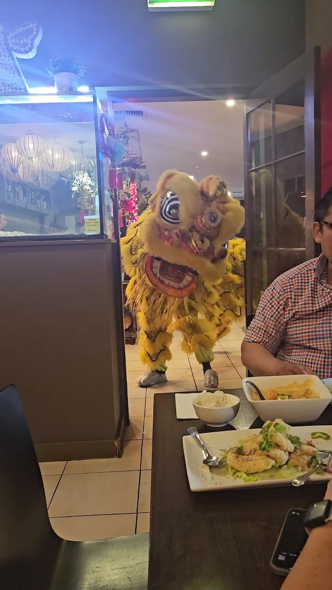 Vibe, Pepper Leaf Innovative Asian Cuisine