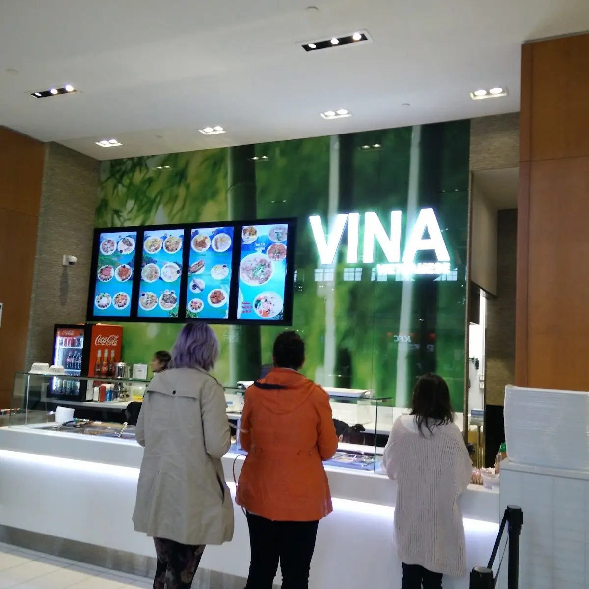 Vina Vietnamese cover